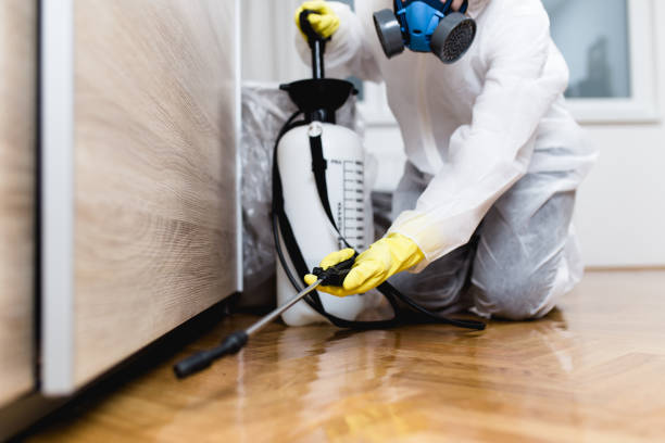 Pest Control for Restaurants in Christopher, IL