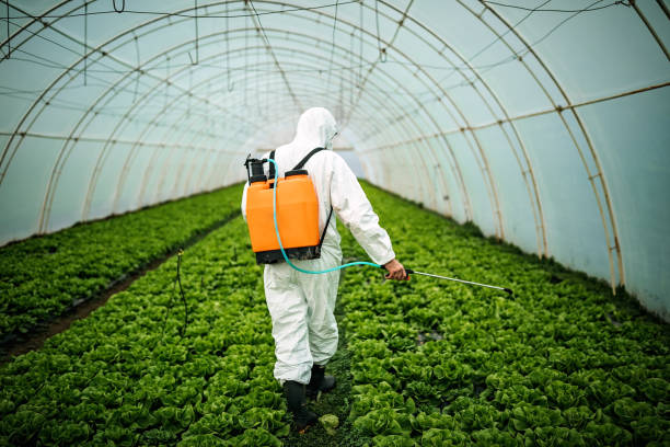 Best Local Pest Control Services  in Christopher, IL