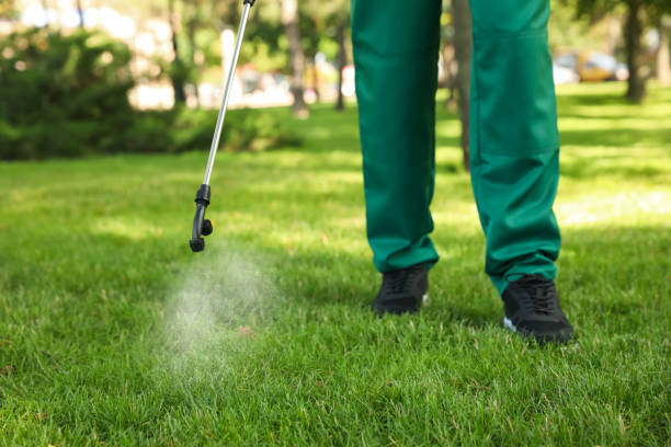 Best Pest Control for Restaurants  in Christopher, IL