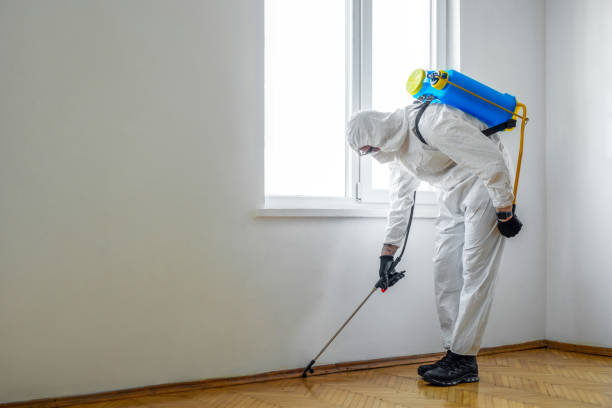 Best Exterminator Services  in Christopher, IL