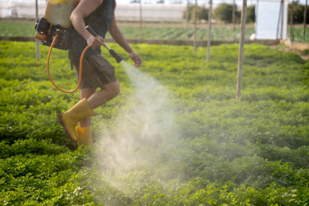 Best Pest Control Cost  in Christopher, IL