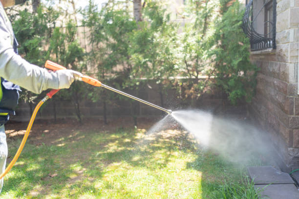 Best Pest Control Near Me  in Christopher, IL