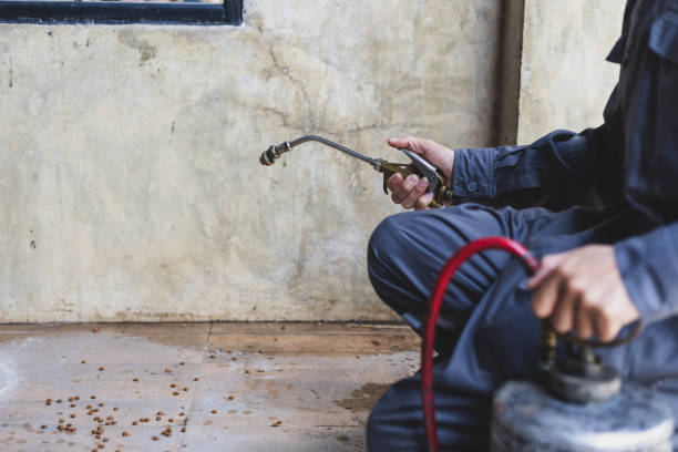 Best Affordable Pest Control Services  in Christopher, IL