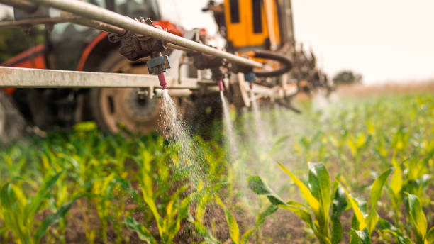Pest Control Cost in Christopher, IL